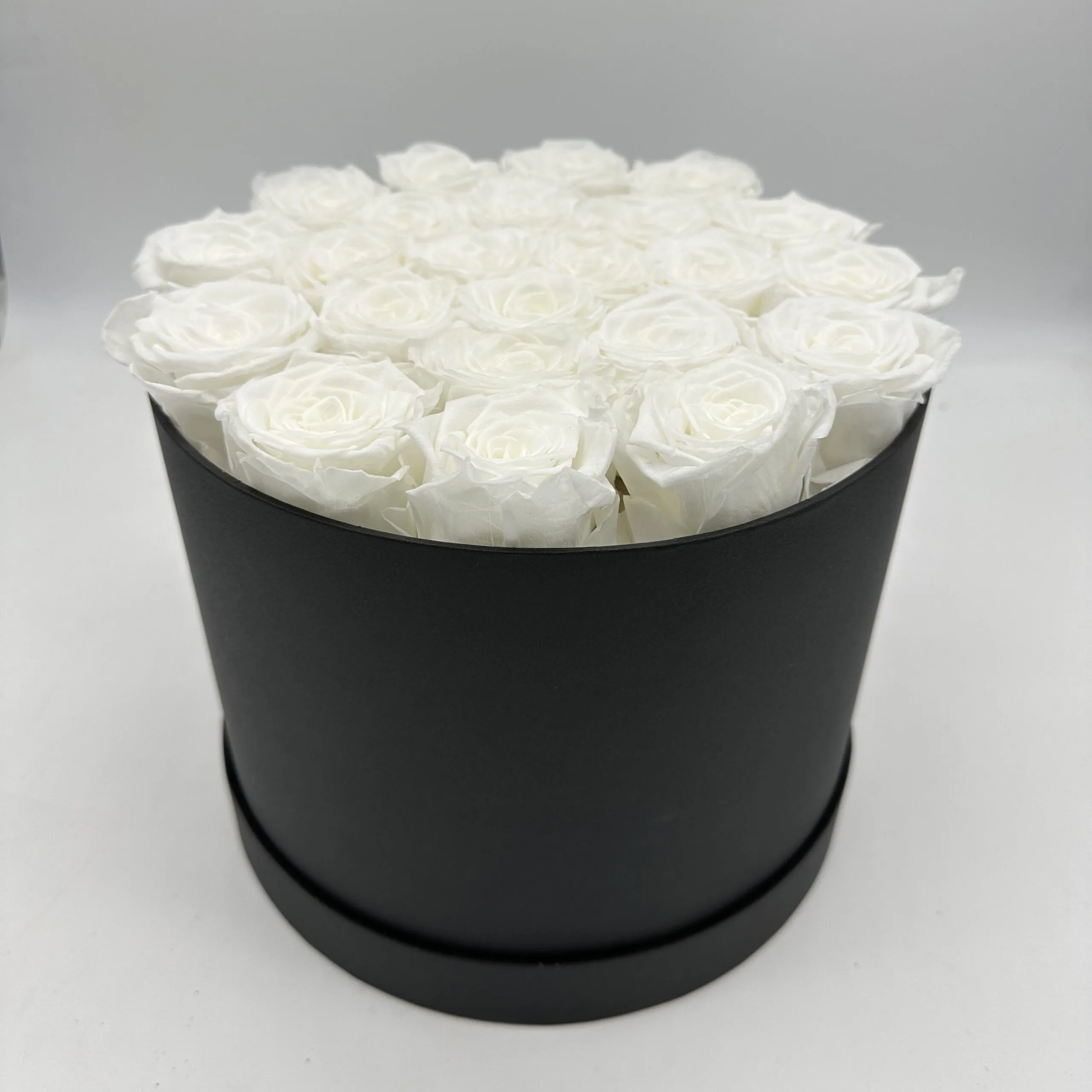 Rose Bianche Stabilizzate in Confezione Regalo